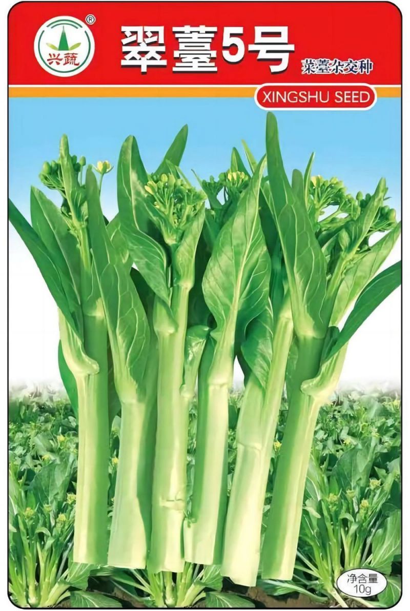 pg娱乐电子游戏