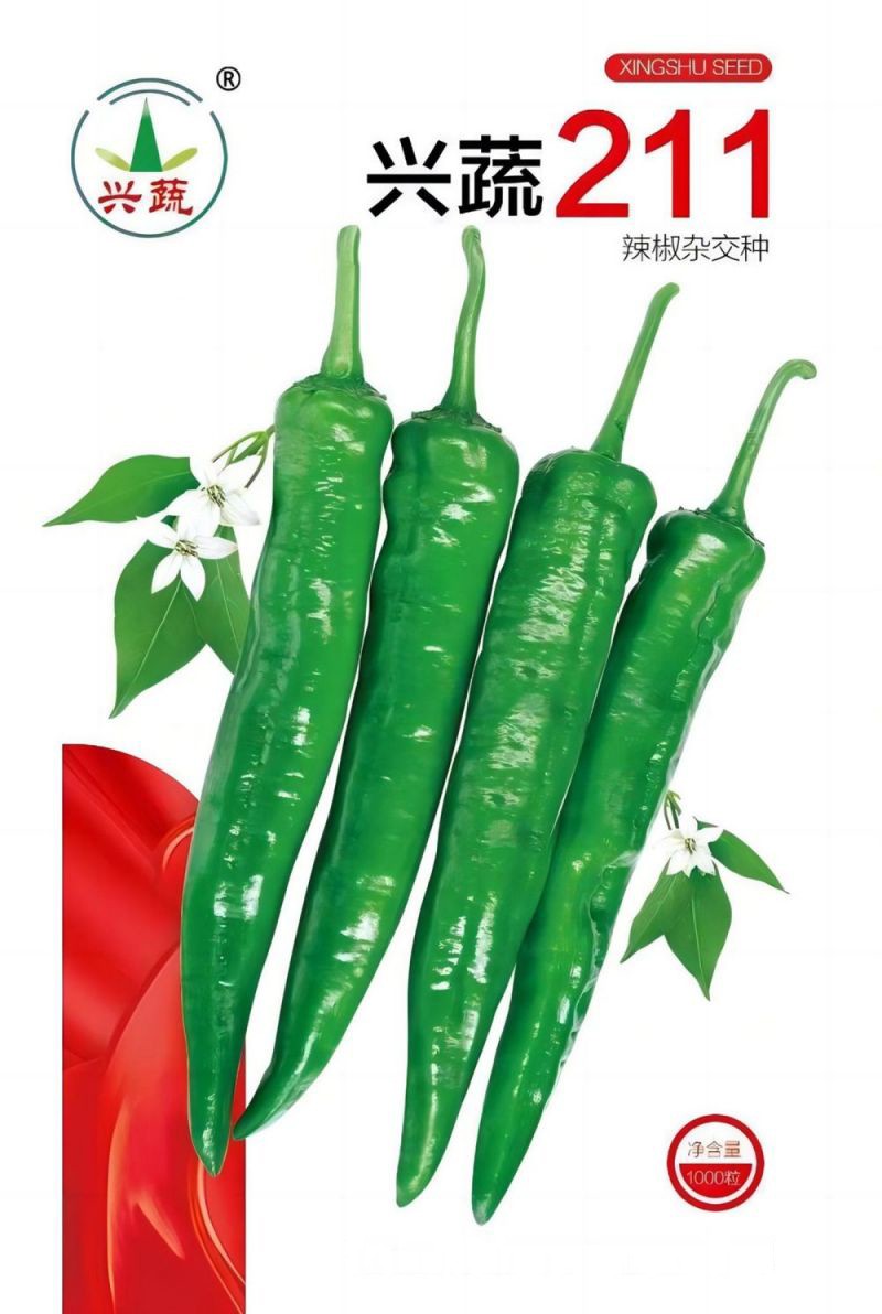 pg娱乐电子游戏