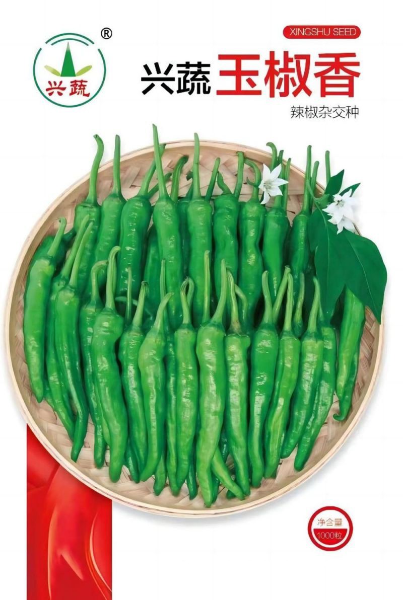 pg娱乐电子游戏