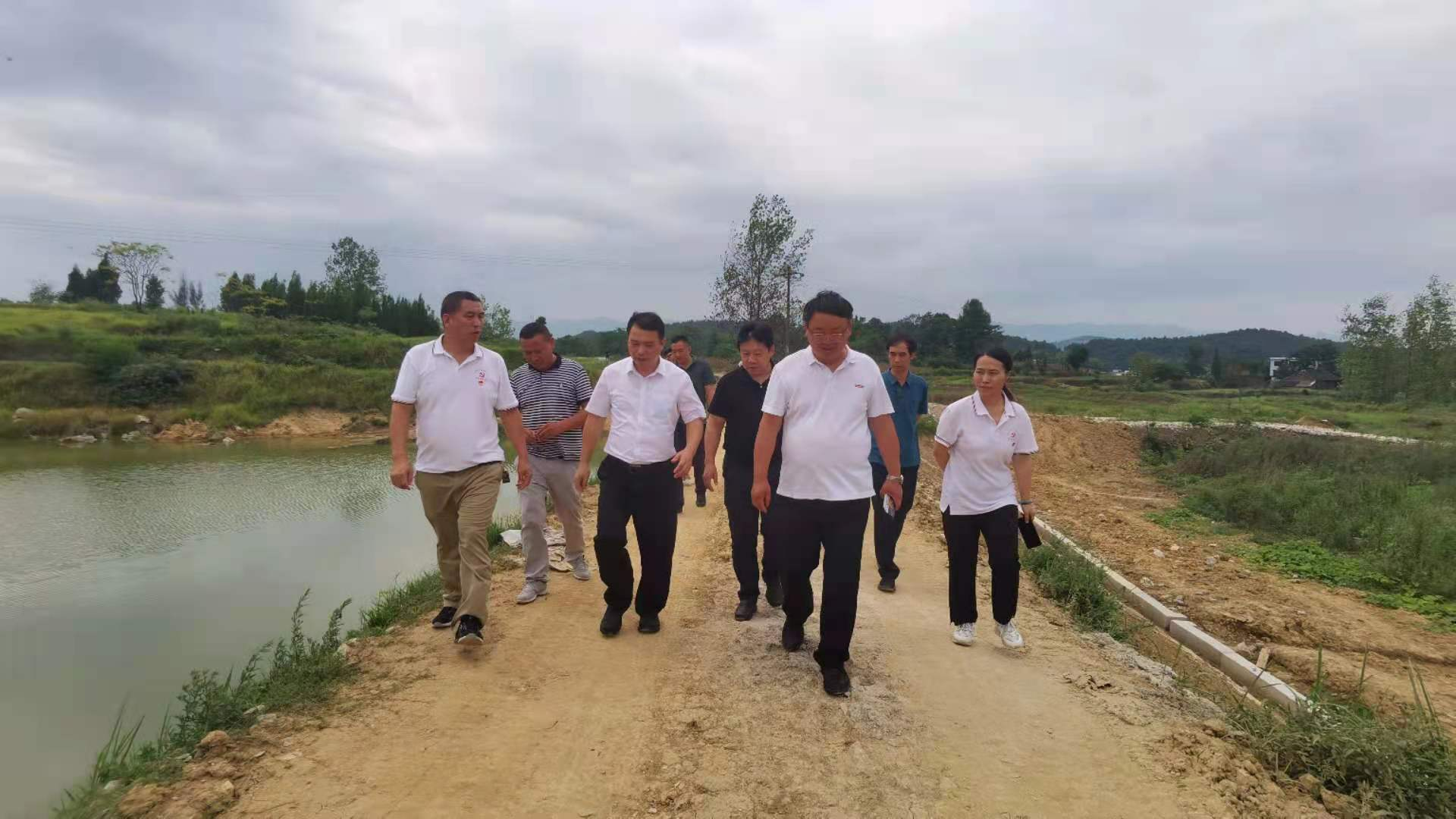 pg娱乐电子游戏,长沙杀虫剂,长沙光气衍生物,长沙氨基酸保护剂,长沙锂离子电池材料