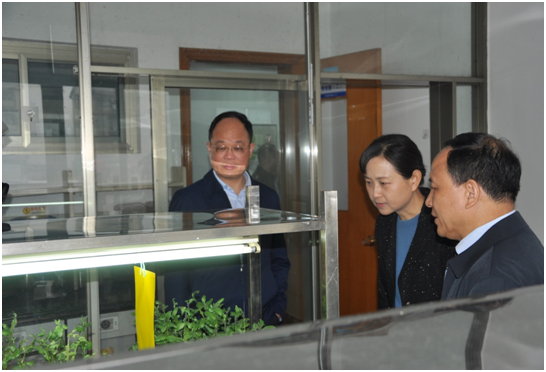 pg娱乐电子游戏,长沙杀虫剂,长沙光气衍生物,长沙氨基酸保护剂,长沙锂离子电池材料
