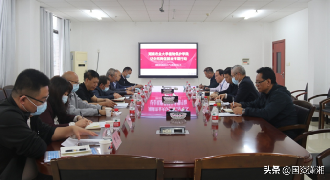 pg娱乐电子游戏,长沙杀虫剂,长沙光气衍生物,长沙氨基酸保护剂,长沙锂离子电池材料 pg娱乐电子游戏,长沙杀虫剂,长沙光气衍生物,长沙氨基酸保护剂,长沙锂离子电池材料