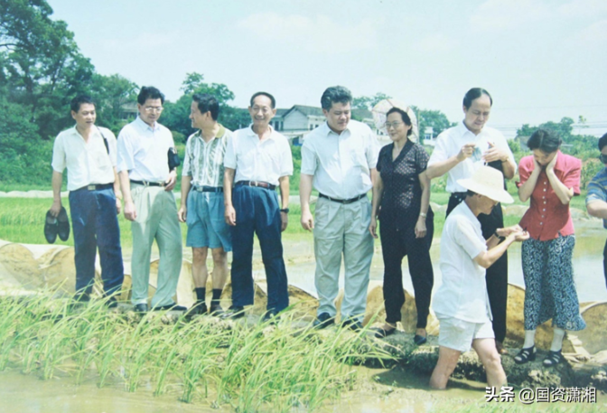 pg娱乐电子游戏,长沙杀虫剂,长沙光气衍生物,长沙氨基酸保护剂,长沙锂离子电池材料 pg娱乐电子游戏,长沙杀虫剂,长沙光气衍生物,长沙氨基酸保护剂,长沙锂离子电池材料