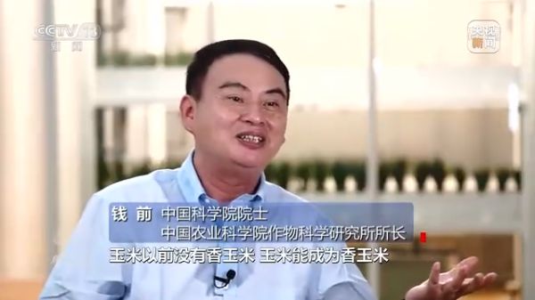 pg娱乐电子游戏,长沙杀虫剂,长沙光气衍生物,长沙氨基酸保护剂,长沙锂离子电池材料