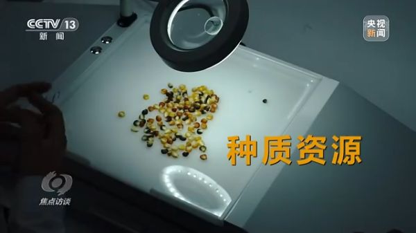 pg娱乐电子游戏,长沙杀虫剂,长沙光气衍生物,长沙氨基酸保护剂,长沙锂离子电池材料