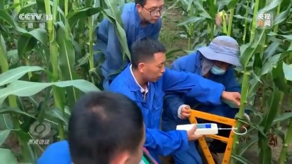 pg娱乐电子游戏,长沙杀虫剂,长沙光气衍生物,长沙氨基酸保护剂,长沙锂离子电池材料