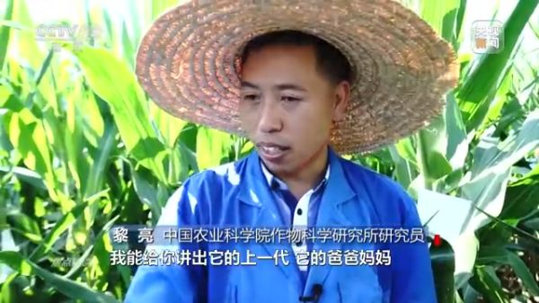 pg娱乐电子游戏,长沙杀虫剂,长沙光气衍生物,长沙氨基酸保护剂,长沙锂离子电池材料