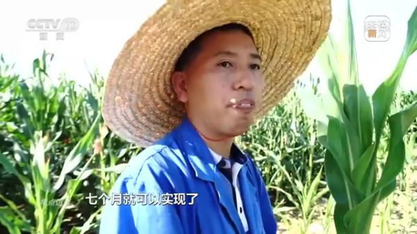 pg娱乐电子游戏,长沙杀虫剂,长沙光气衍生物,长沙氨基酸保护剂,长沙锂离子电池材料