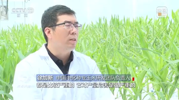 pg娱乐电子游戏,长沙杀虫剂,长沙光气衍生物,长沙氨基酸保护剂,长沙锂离子电池材料