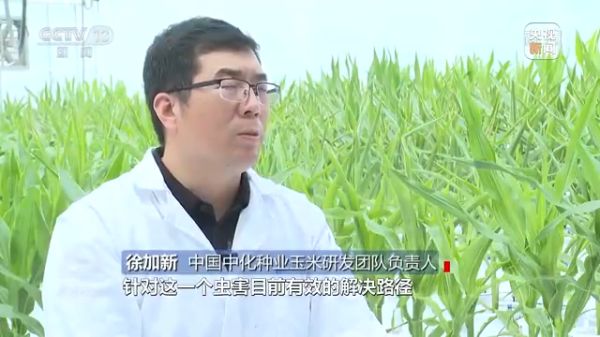 pg娱乐电子游戏,长沙杀虫剂,长沙光气衍生物,长沙氨基酸保护剂,长沙锂离子电池材料