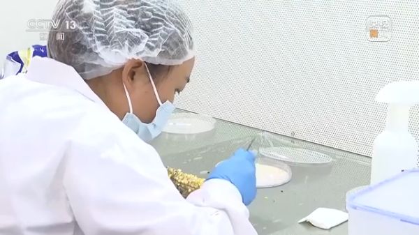 pg娱乐电子游戏,长沙杀虫剂,长沙光气衍生物,长沙氨基酸保护剂,长沙锂离子电池材料