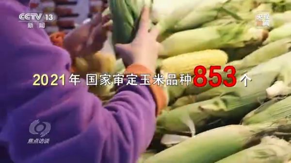 pg娱乐电子游戏,长沙杀虫剂,长沙光气衍生物,长沙氨基酸保护剂,长沙锂离子电池材料
